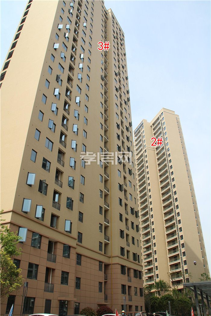 2020040817531982728juoe5f.jpg 2-3.jpg