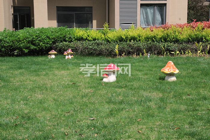 民邦2期工程進(jìn)度