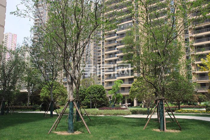 民邦2期工程進(jìn)度