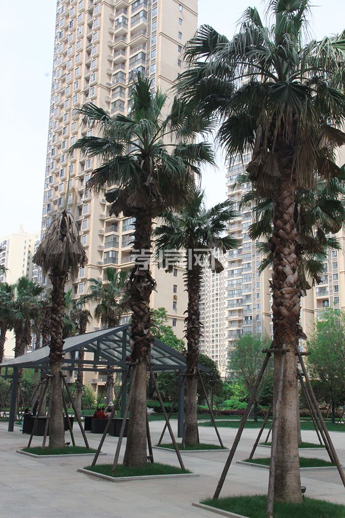 民邦2期工程進(jìn)度