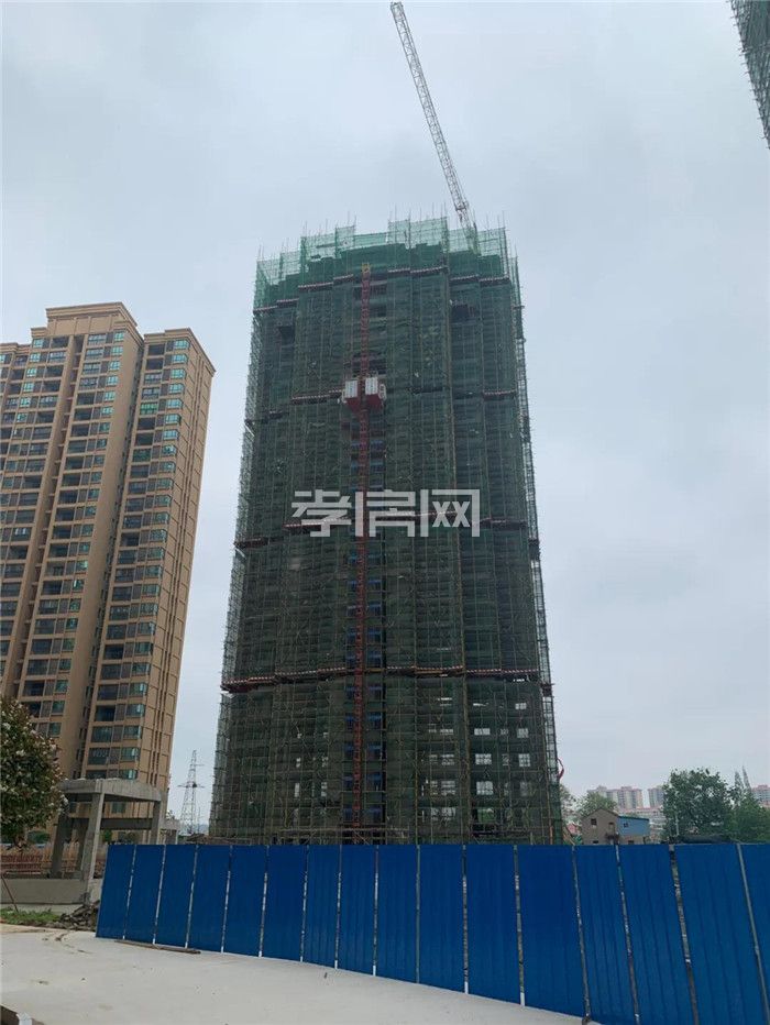 2020041114441271841zgracr.jpg 4.jpg