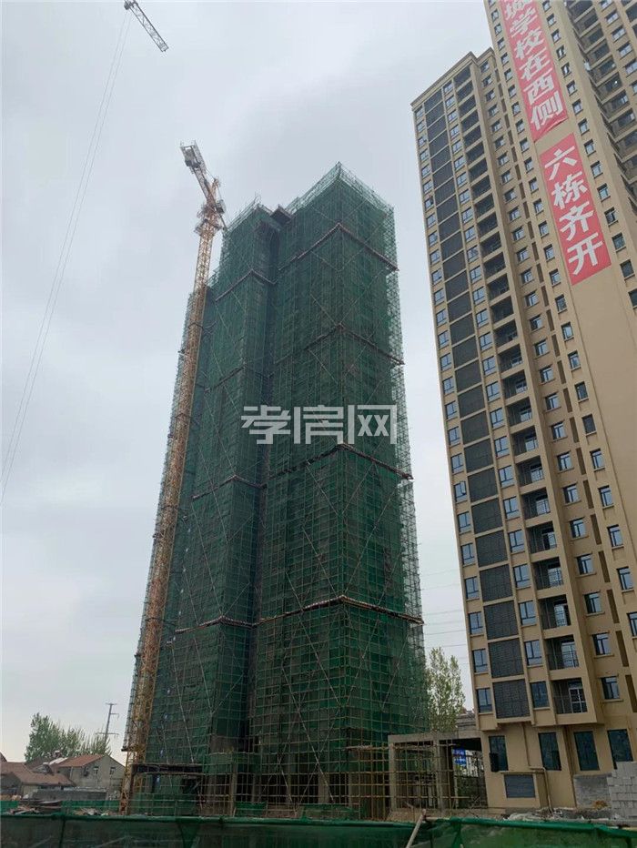 2020041114454548701swoqr3.jpg 7.jpg