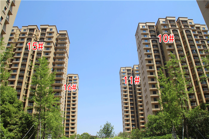 2020041411222492882bhyjnf.gif 8.gif