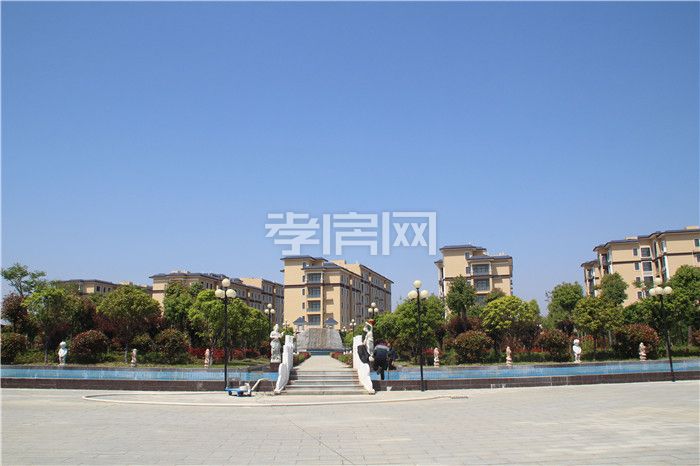 2020041415525266950yee6lo.jpg 19.jpg