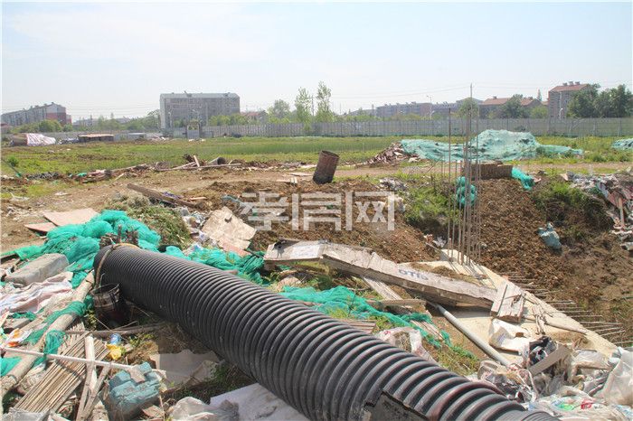 2020041416090730843whfi4a.jpg 15.jpg