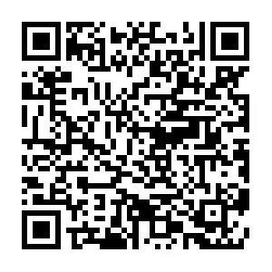 2020042916531622573vjebh4.jpg /lpfile/2020/04/29/2020042916531622573vjebh4.jpg