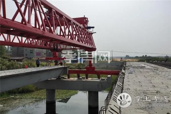 2020043017210784287paccf8.jpg 10.jpg