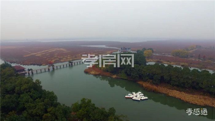 2020050418515458945atbnwy.jpg 4.jpg