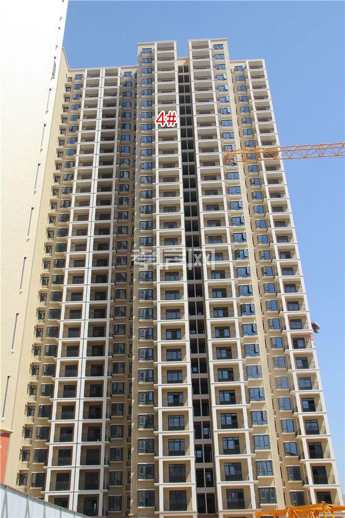 2020051318015050085gv475b.jpg 4.jpg