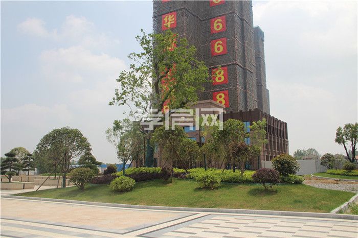 2020060416403036415rgm2gg.jpg 2.jpg