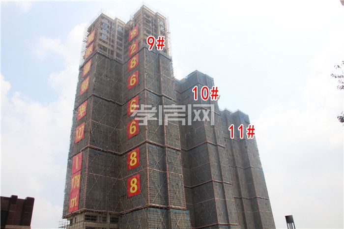 2020060416410483368zx1s9m.jpg 4.jpg