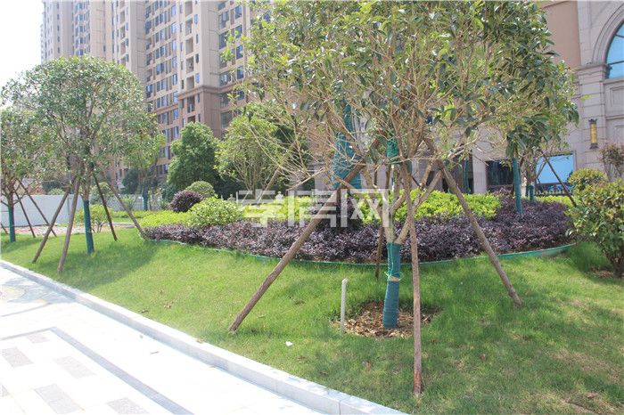 2020060416414082400m58rv3.jpg 5.jpg