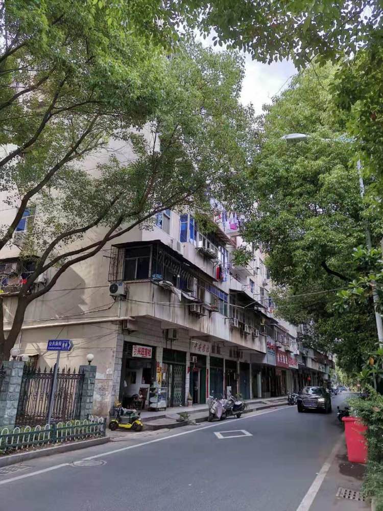 后湖西路水产局综合楼3室2厅1卫