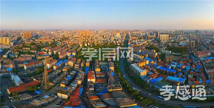 2020061818334830496ojshom.jpg 2.jpg