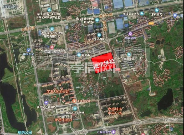 2020061909321185936eypwzw.jpg 5.jpg