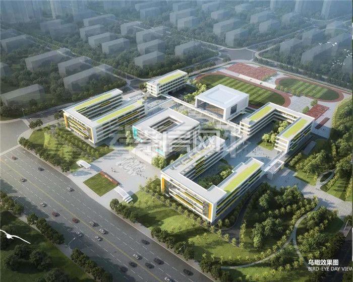 2020061909324631072phj7zn.jpg 6.jpg