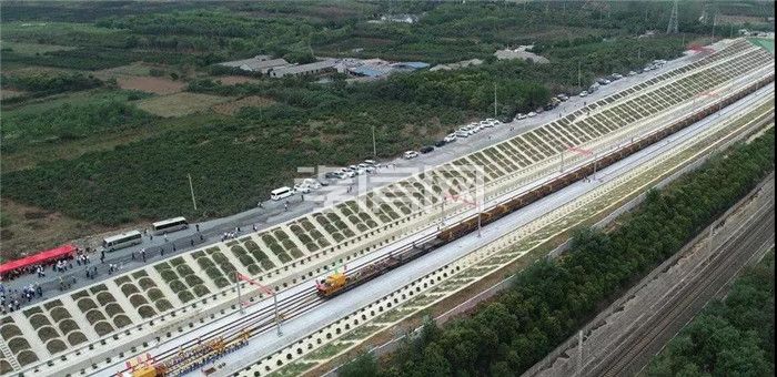 2020062816181731884honsoh.jpg 2.jpg