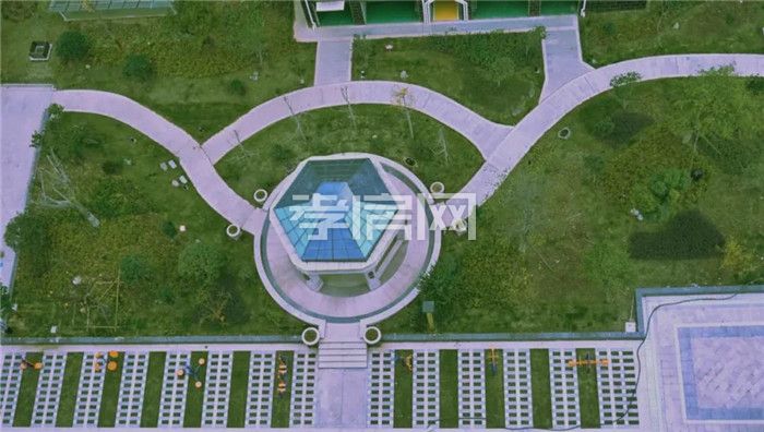 20200718094325530127tsm6i.jpg 4.jpg