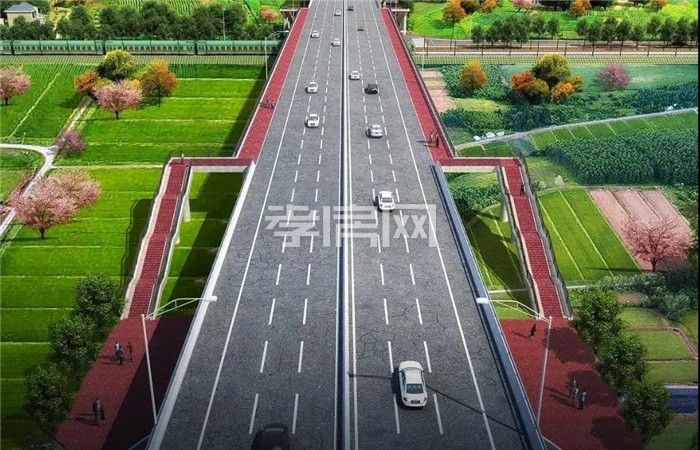 2020072014413346887ae7irw.jpg 4.jpg