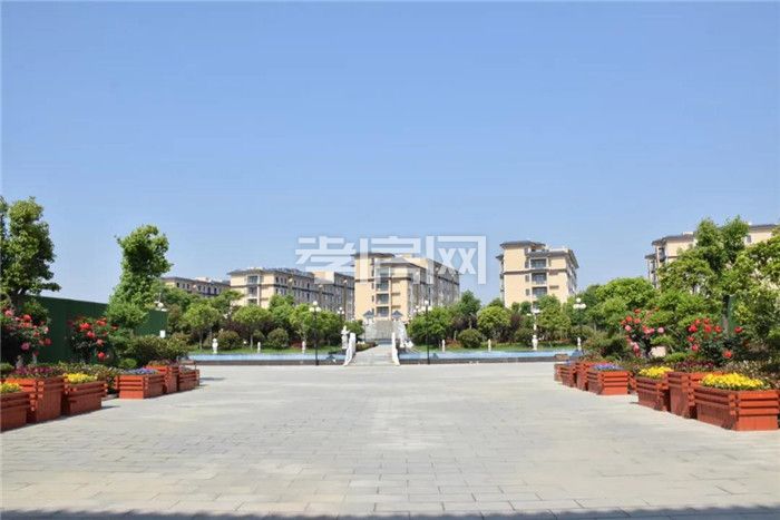 20200721142204270744ccb4b.jpg 2.jpg