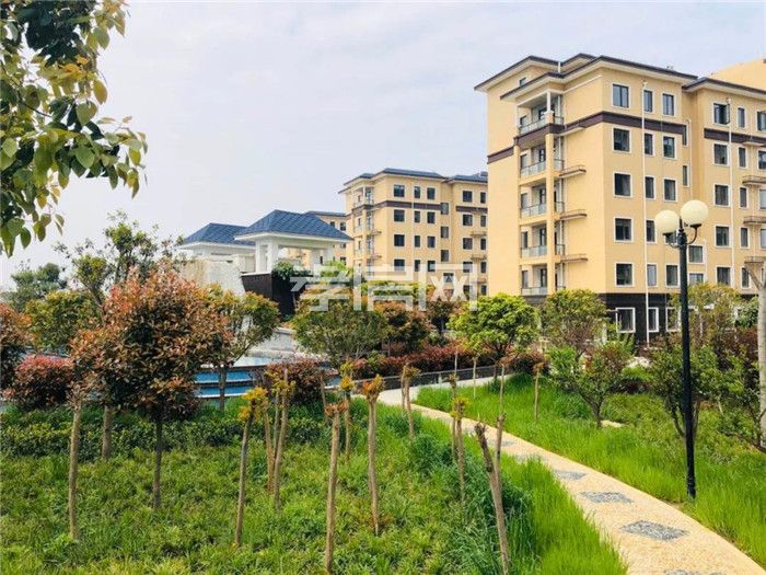 20200721142214873544amchk.jpg 3.jpg