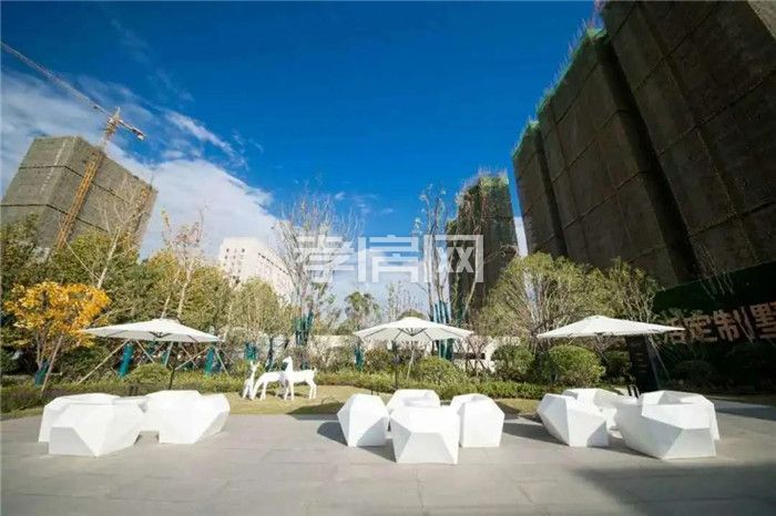 2020072115154498450seorcy.jpg 6.jpg