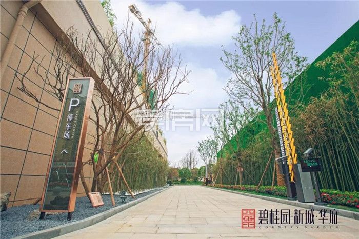 2020072409104186081lz4cwh.jpg 14.jpg