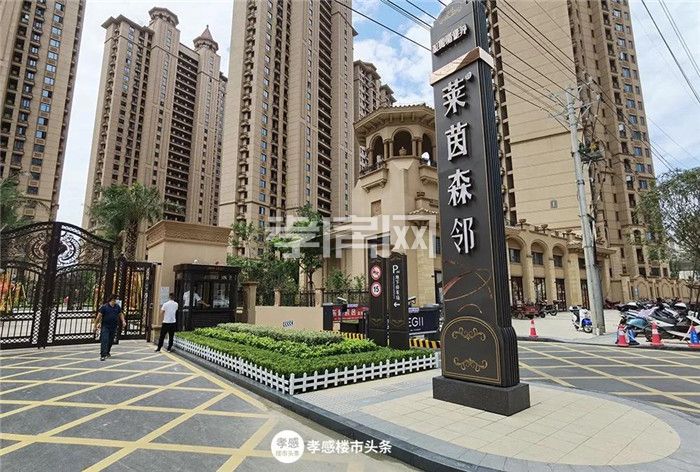 2020072409105499254atty6j.jpg 15.jpg