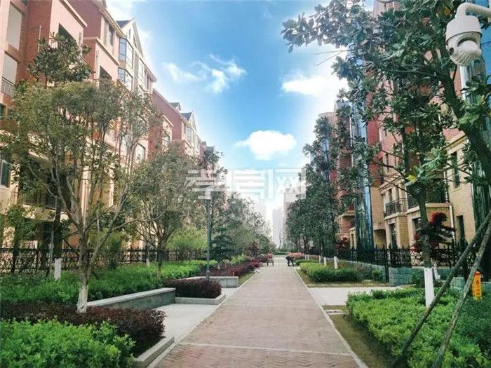 2020072409111737484stxy7o.jpg 16.jpg