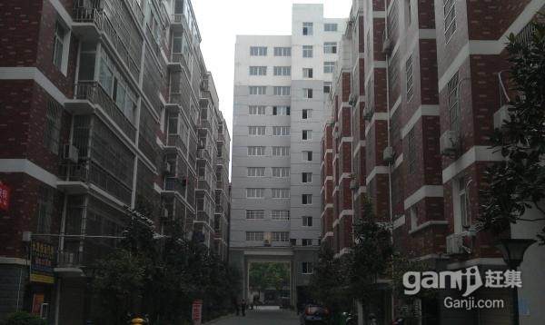 豐源小區(qū)毛陳107國道旁