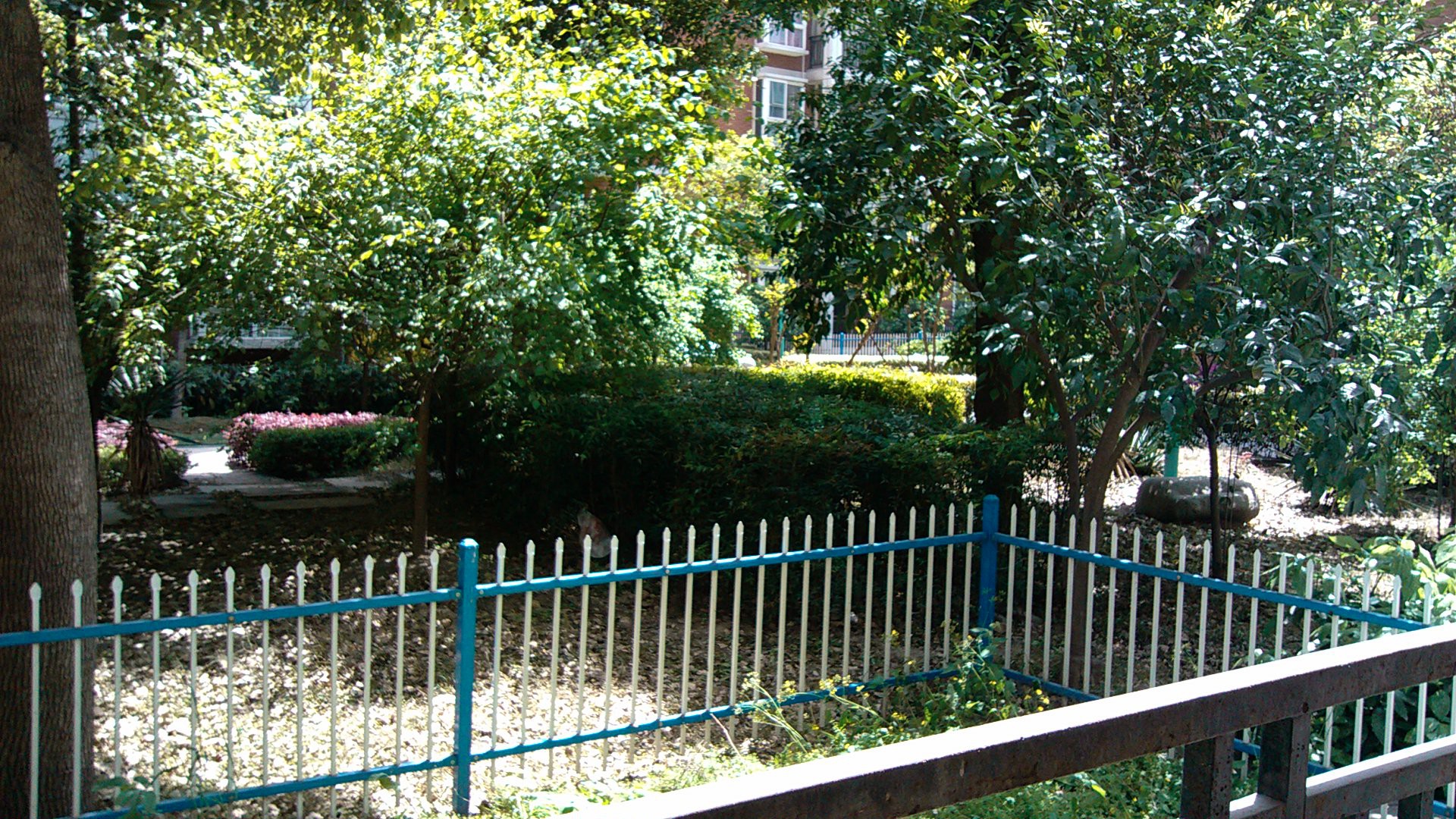 长征二路门面招租(无转让费)