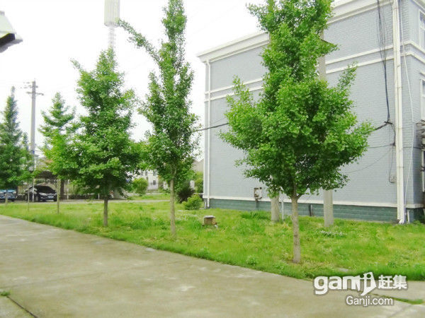 寫(xiě)字樓、辦公室、廠(chǎng)房、倉(cāng)庫(kù)出租