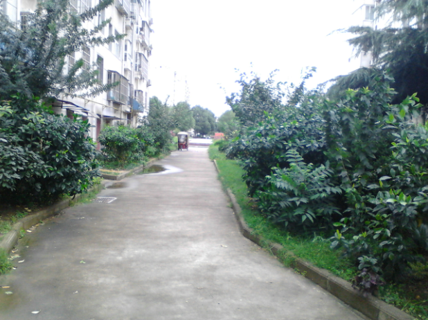 B1607 體育路【兵工花園】精裝 復(fù)式樓  未住過(guò)  137平米