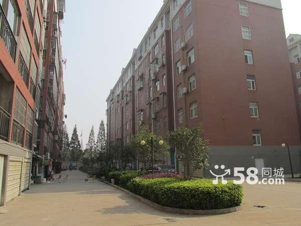 (出售)春潮花園3室2廳1衛(wèi)123㎡工作調(diào)動，住房急售。。。。急。。急。。。急。。。。