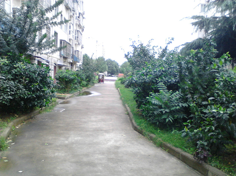  C57 兵工花園  二室5/6  精裝 南北向 送儲(chǔ)藏室  86.7平米 售價(jià)36萬(wàn) 