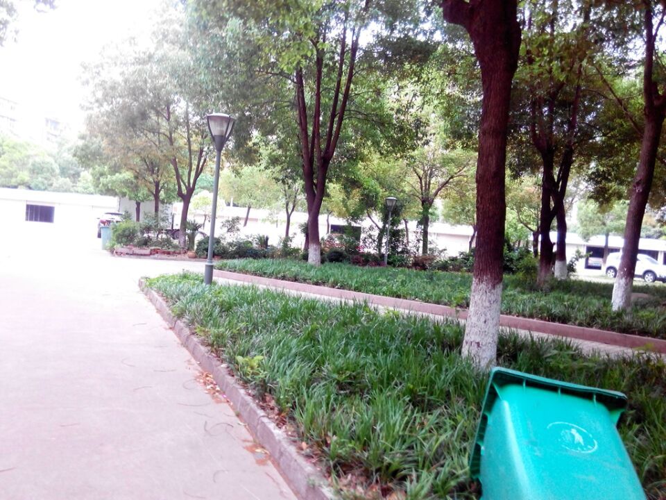 C123紅峰苑二室5/6中裝兩證滿五面積68平米售價29萬