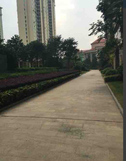 讓你無可挑剔的乾坤豪府,交通便利低價甩賣