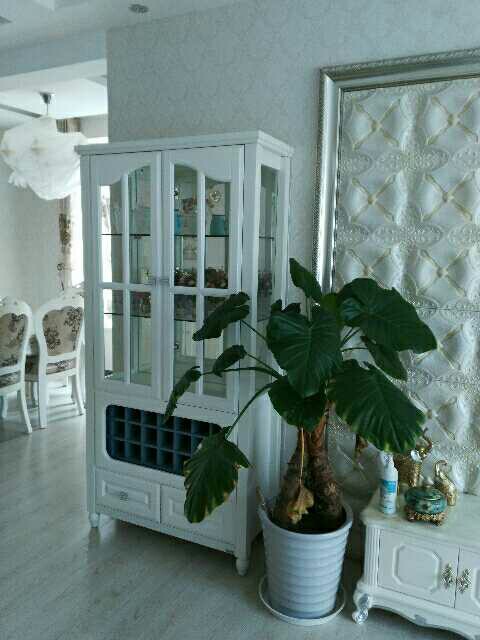 優(yōu)質(zhì)小區(qū)，經(jīng)典戶型，豪裝房