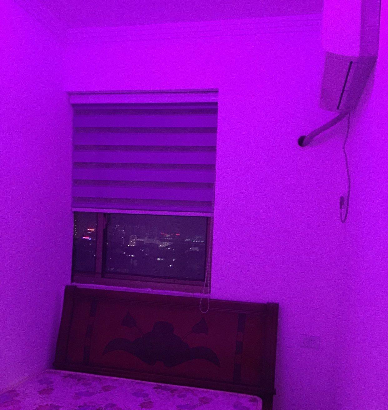 保麗廣場2室1廳1衛(wèi)(個人)