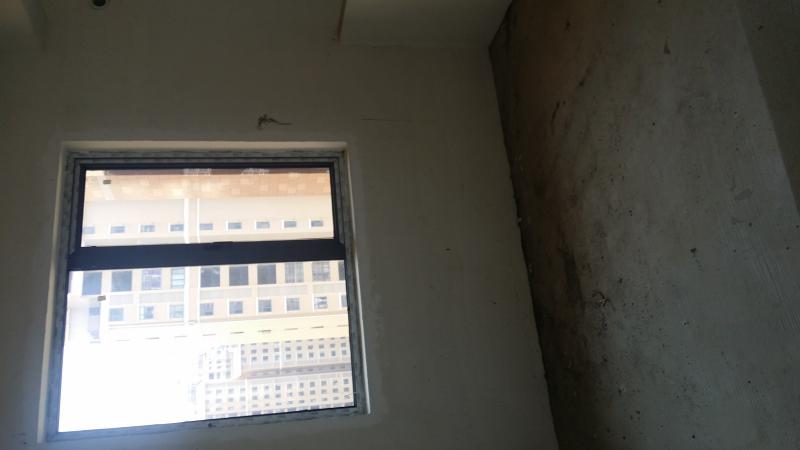 观望是没有结果的,该出手时就出手,这才是硬道理