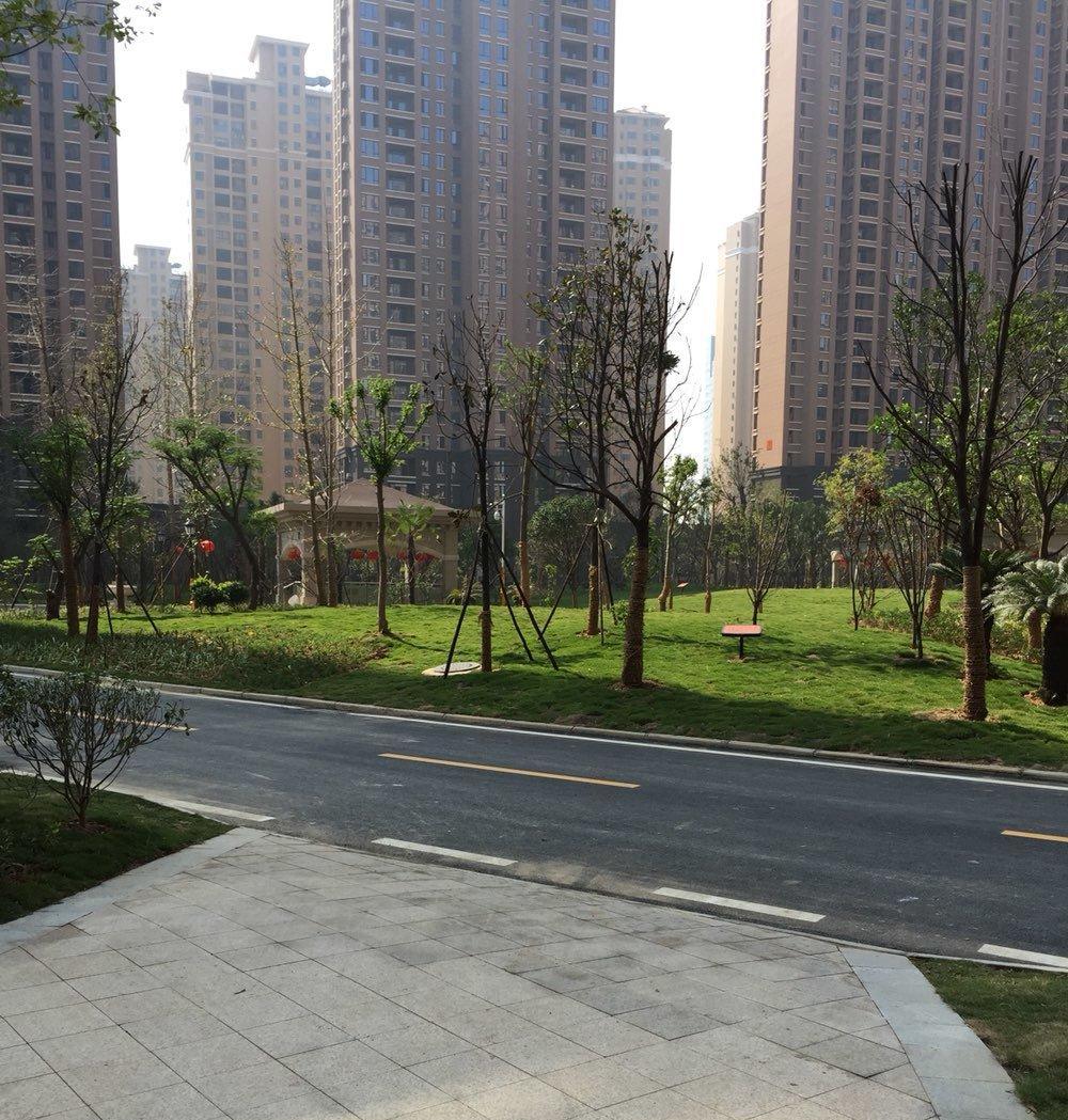 中建尚都二期楼王3室2厅2卫