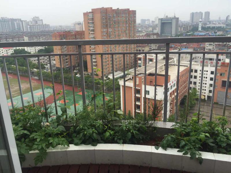 周转急用钱精装复式楼2个超大阳台证满两年