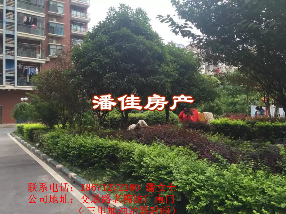 【潘佳房產(chǎn)推薦】交通西路全州國際10/19樓95㎡兩室兩廳中裝50萬