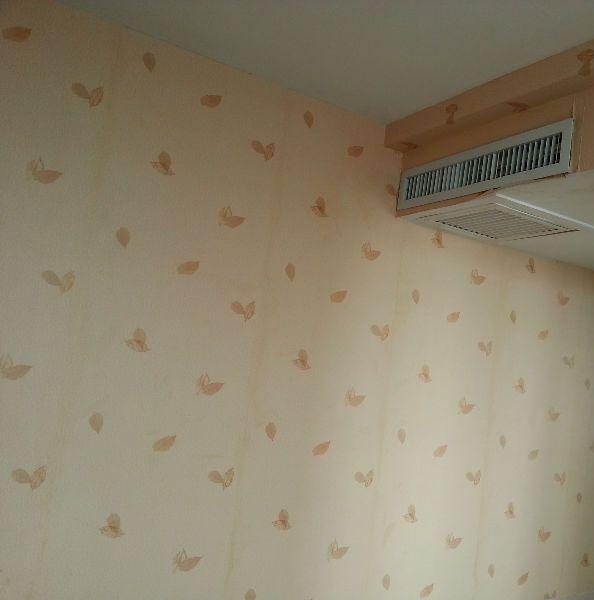 ----北京路住宅租房溫馨一居室----