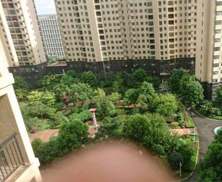 兰苑户型毛坯急售随时可看房