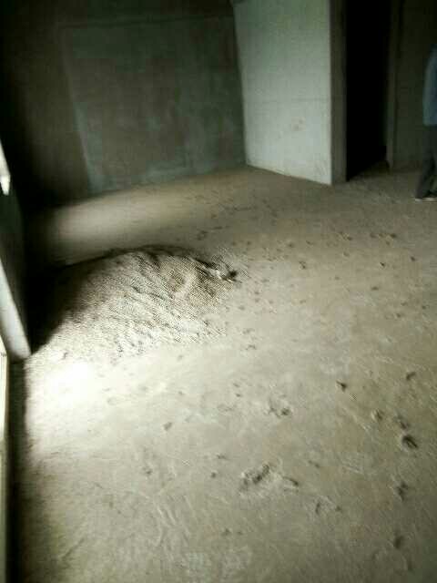 地段 ，交通便利，大戶型