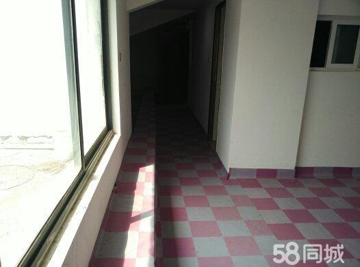 城站路財(cái)政局2室新裝修便宜出租