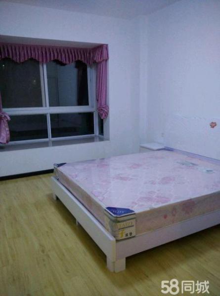 槐蔭天地3室2廳2衛(wèi)1陽臺,白領(lǐng)打工族快來看啊