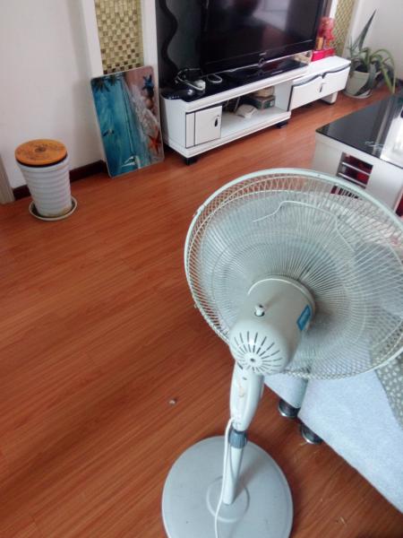 ----書院街電力小區(qū)裝修房2室1廳1衛(wèi)(個人)----