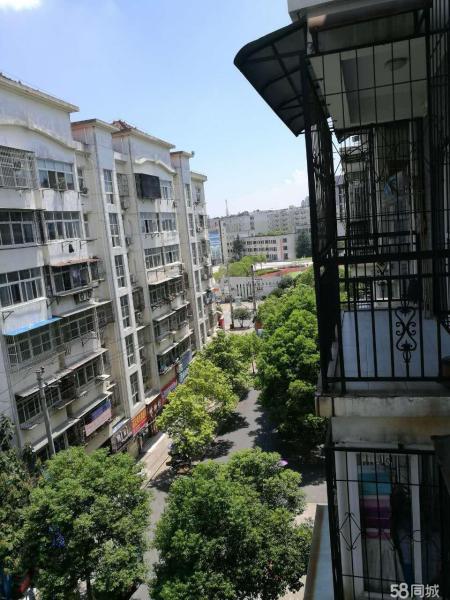 交通便利，精裝大戶型224平米可辦公居家，拎包即可入?。? src=